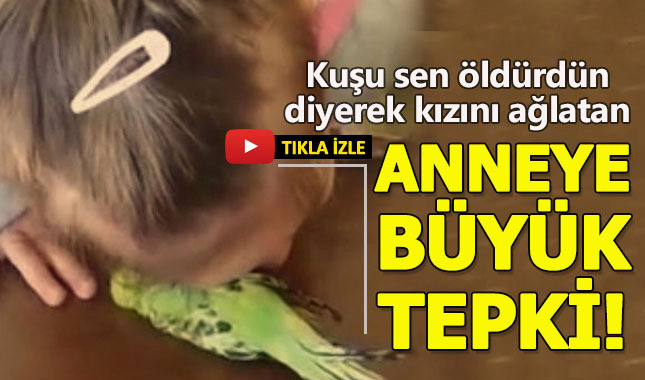 Küçük kızını suçlayan anneye büyük tepki!