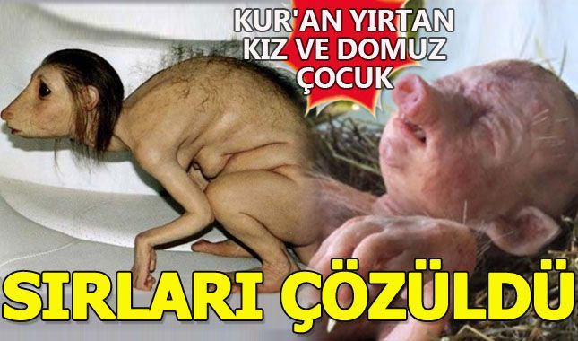 Kur'an yırtan kız ve Domuzun doğurduğu çocuk olaylarının sırrı çözüldü