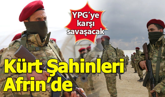 Kürt Şahinleri Afrin'de YPG'ye karşı savaşacak