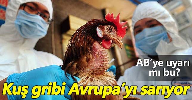 Kuş gribi nedir belirtileri nelerdir? Kuş gribi tedavisi nasıldır?
