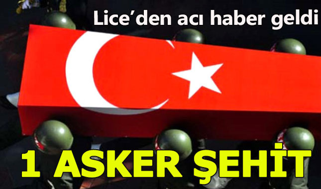 Lice'den acı haber: 1 asker şehit, 1 yaralı
