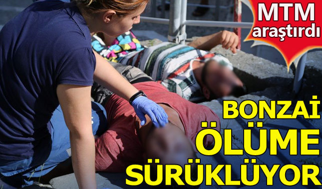Medya Takip Merkezi basında bonzainin nabzını tuttu