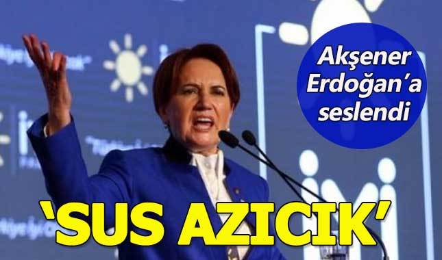 Meral Akşener, Cumhurbaşkanı Erdoğan'a seslendi: Sus azıcık