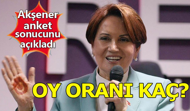 Meral Akşener partisinin oy oranını açıkladı