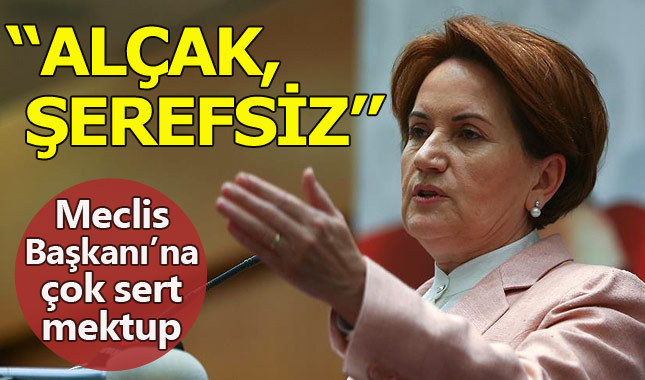 Meral Akşener'den Meclis Başkanı'na çok sert mektup
