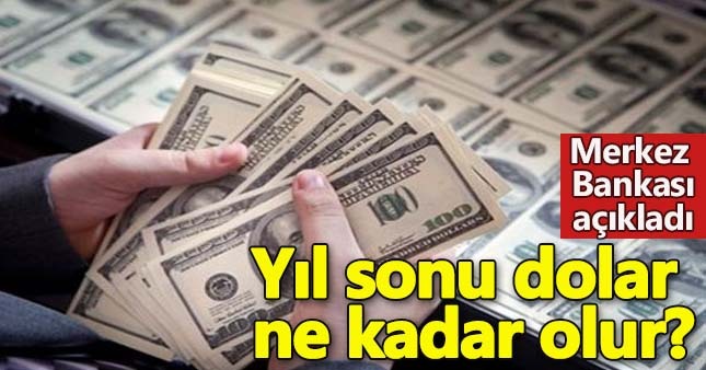 Merkez Bankası'ndan yıl sonu dolar tahmini