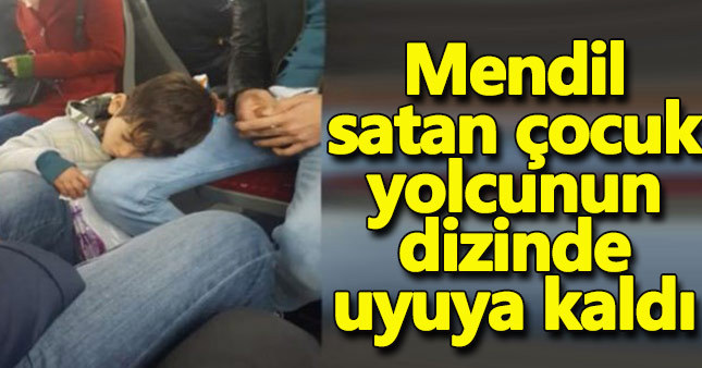 Metrobüste mendil satan çocuk yolcunun dizinde uyuya kaldı