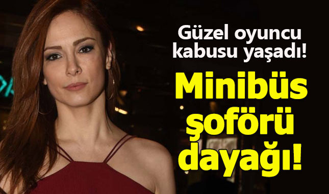 Mine Tugay kimdir, minübüs şoförü neden saldırdı, Mine Tugay'ın durumu nasıl?