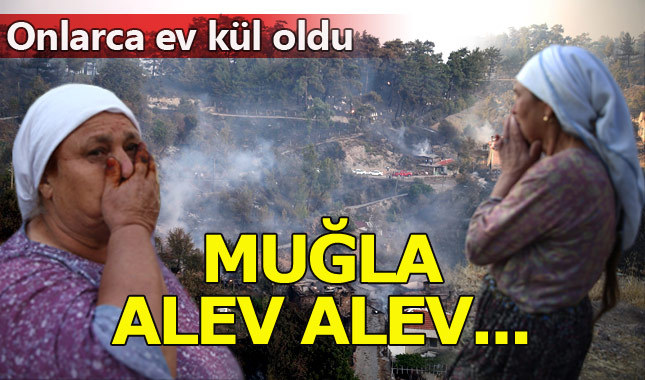 Muğla'da orman yangını! Alevler yayılıyor