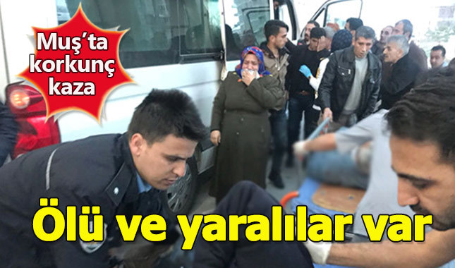 Muş'ta korkunç trafik kazası ölü ve yaralılar var