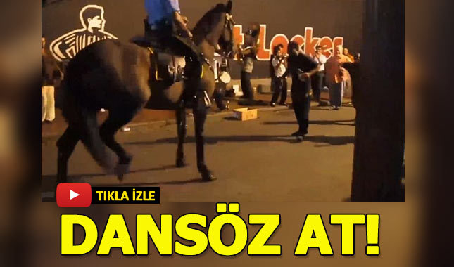 Müzik sesini duyunca yol ortasında dansa başlayan at