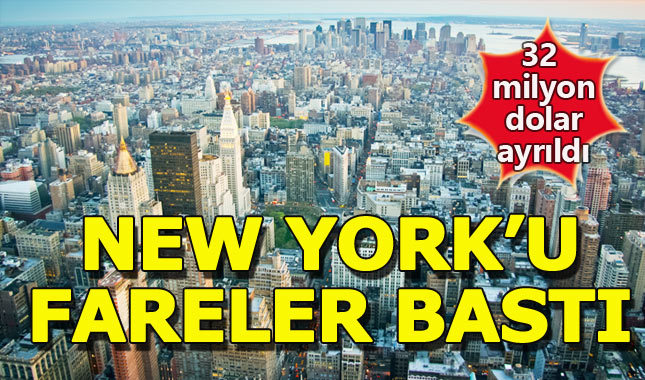New York 32 milyon dolarlık fare savaşı