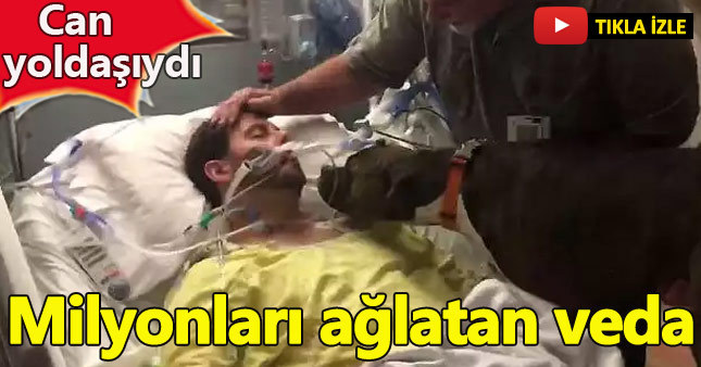 Ölüm döşeğindeki sahibine veda eden köpek...