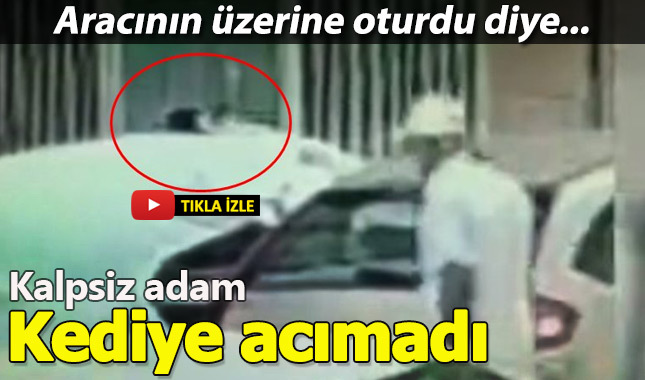Otomobilinin üstünden insin diye kediye yumruk attı