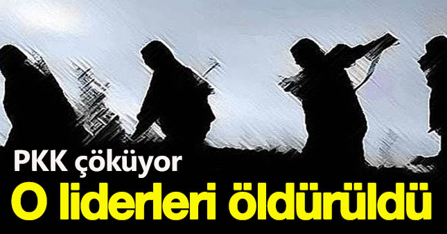PKK'nın o lideri öldürüldü