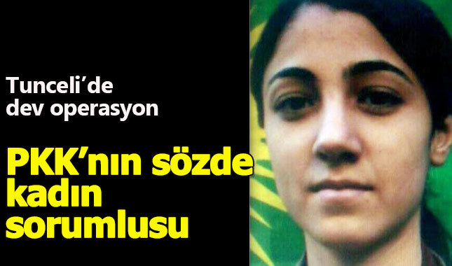 PKK'nın sözde üst düzey yöneticisi etkisiz hale getirildi