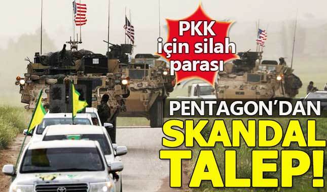 Pentagon, PKK/PYD ordusu için silah parası talep etti