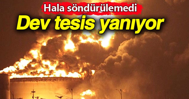 Petrokimya tesisi alev alev yanıyor