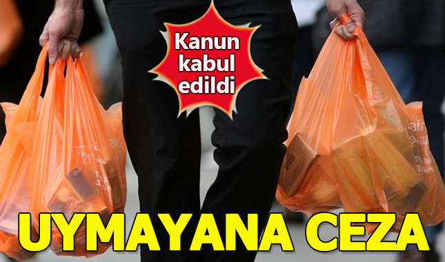 Plastik poşetler ne zaman parayla satılacak fiyatı ne kadar olacak cezası kaç TL?