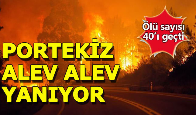 Portekiz'deki yangında ölü sayısı artıyor