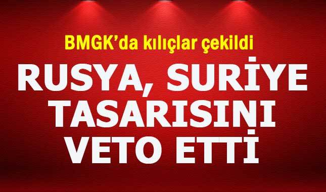 Rusya, ABD'nin Suriye tasarısını veto etti