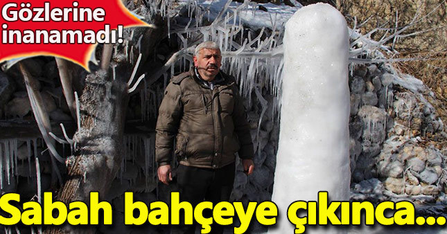 Sabah bahçeye çıktı gözlerine inanamadı!