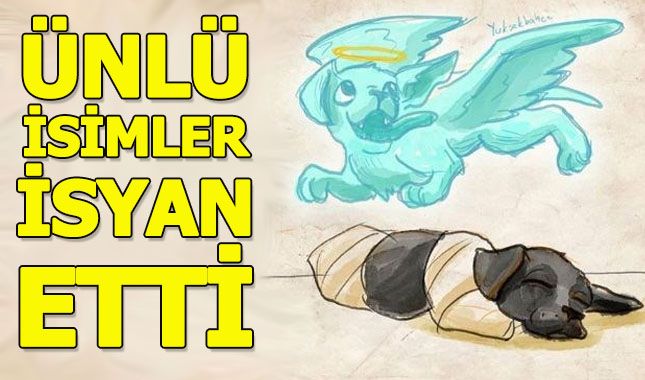 Sakarya'da yavru köpeğe yapılanlara isyan ettiler (Ünlülerden tepkiler)