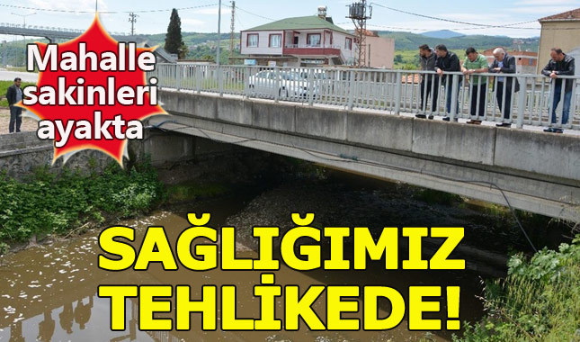 Samsun'daki balık ölümleri vatandaşları korkuttu