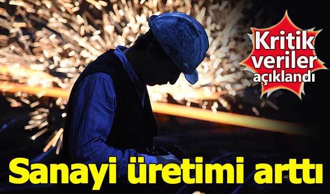 Sanayi üretimi ocak ayında yüzde 12 arttı