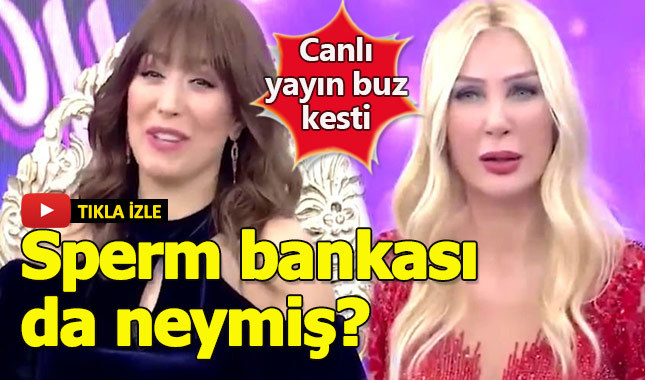 Seda Sayan'dan sperm bankası açıklaması