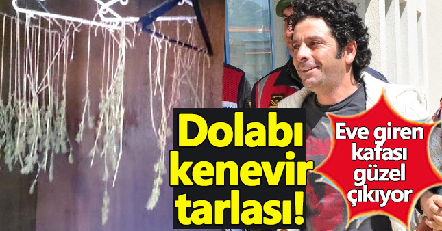 Selim Erdoğan'ın kenevir yuvasına dönmüş