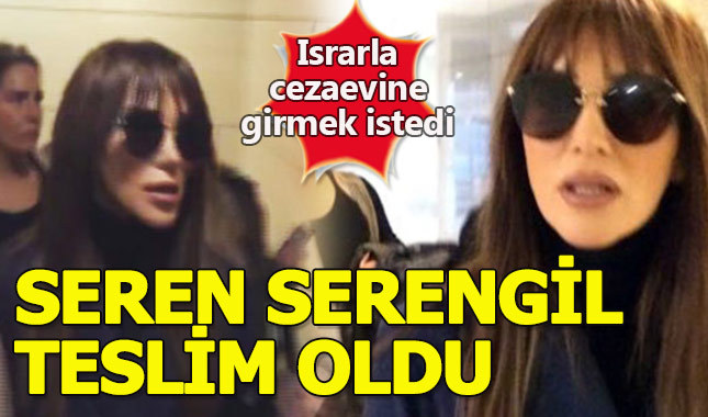 Seren Serengil cezaevine girdi, avukatı istifa etti