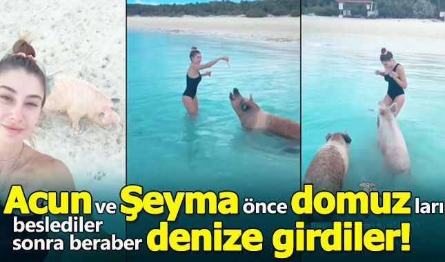 Şeyma Subaşı Ve Acun Ilıcalı domuzları önce besledi sonra beraber denize girdi!