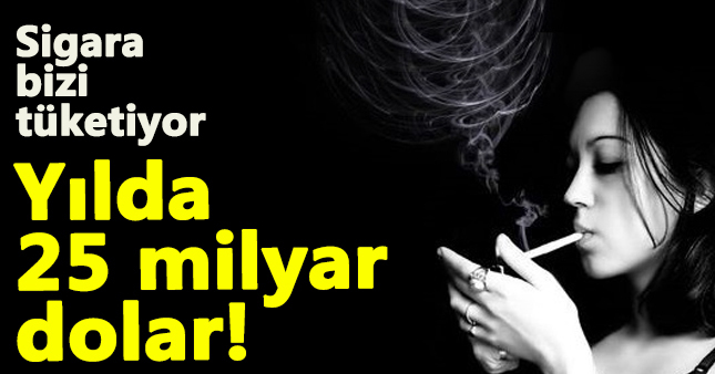 Sigaraya yılda 25 milyar dolar harcıyoruz