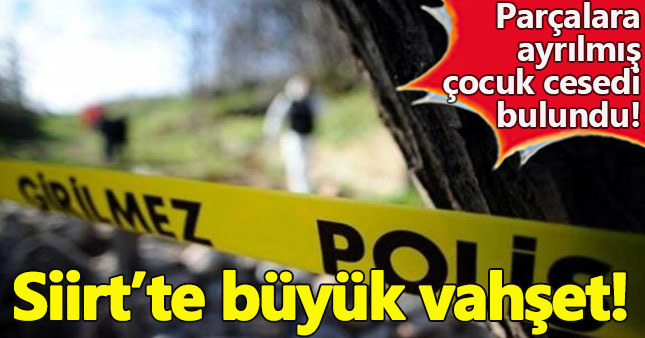 Siirt'te 6 yaşındaki bir kız çocuğuna ait parçalanmış ceset bulundu