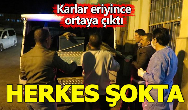 Sınırda 9 erkek cesedi bulundu