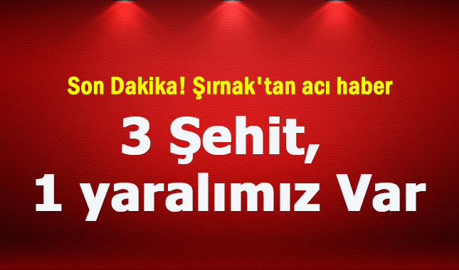 Son Dakika! Şırnak'tan acı haber: 3 Şehit, 1 yaralımız var
