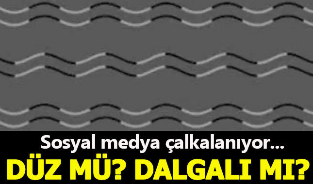 Sosyal medyayı sallıyor! Çizgiler düz mü yoksa dalgalı mı?