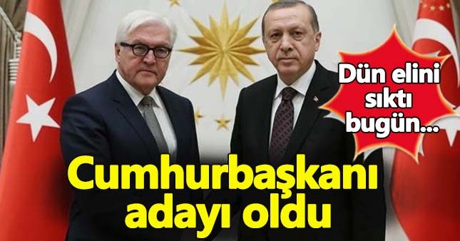 Steinmeier'in Cumhurbaşkanı adaylığı açıklandı