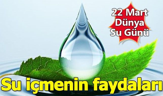 Su içmek için 9 önemli sebep (22 Mart Dünya Su Günü nedir?)