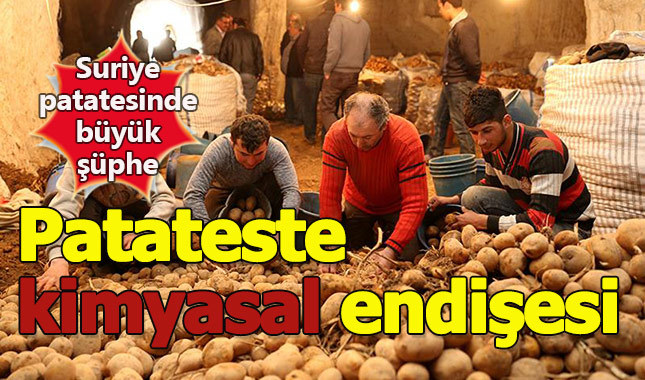 Suriye patatesinde kimyasal madde mi var?