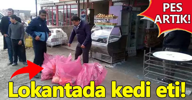 Suriyelilerin işlettiği iş yerinde kedi eti skandalı