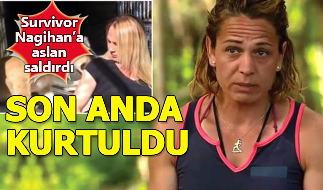 Survivor Nagihan aslanlara yem oluyordu