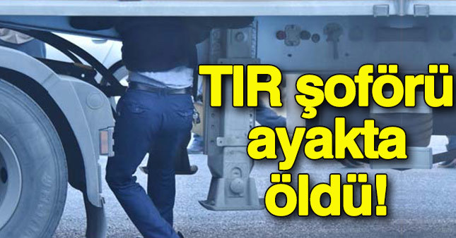 TIR şoförü ayakta öldü!