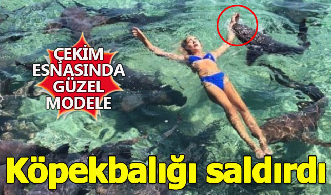 Tehlikeli çekimler esnasında köpekbalığı modeli ısırdı!