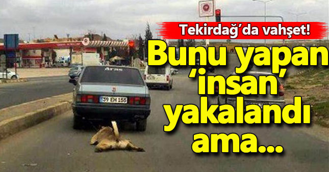 Tekirdağ'da dehşet veren görüntü
