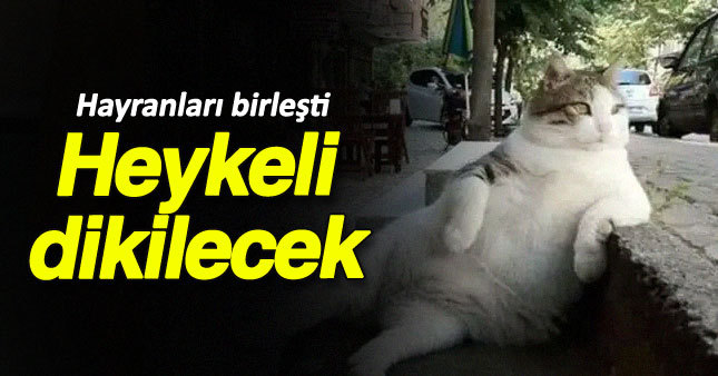 Tombili'nin hayranları birleşti