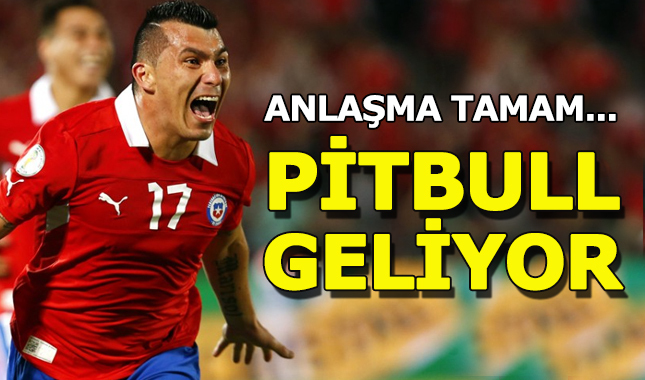 Trabzonspor, Garry Medel transferinde mutlu sona yaklaştı