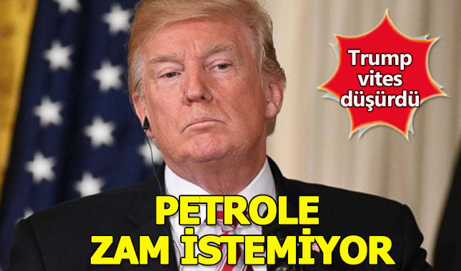 Trump: Yaptırımda yavaş hareket edeceğim