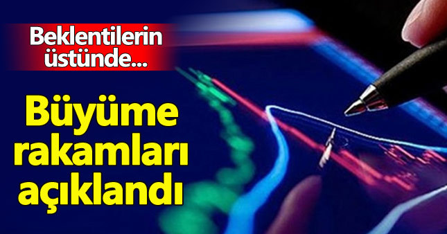 Türk ekonomisi büyüdü, kişi başı milli gelir azaldı